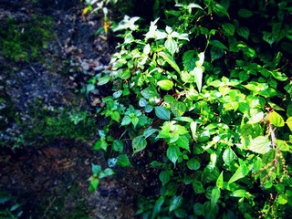IMG_60851_副本.jpg