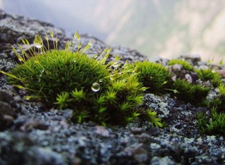 IMG_60981_副本.jpg