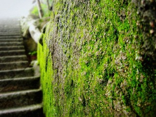 IMG_61781_副本.jpg
