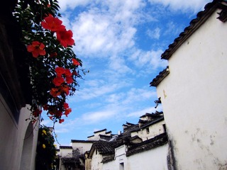 IMG_65501_副本.jpg
