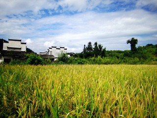 IMG_66001_副本.jpg