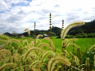IMG_66072_副本.jpg