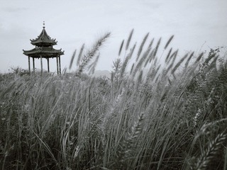 IMG_77531_副本2.jpg