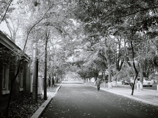 DSC036421_副本_副本3.jpg