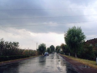 DSC030991_副本.jpg