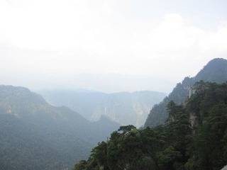 IMG_9067.JPG