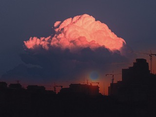 30117