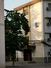 620417