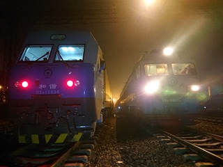 534294