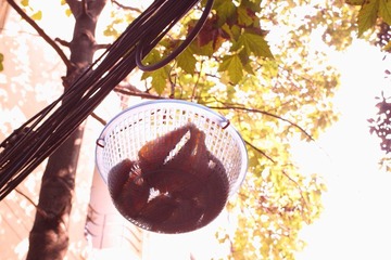 DPP_0005.JPG