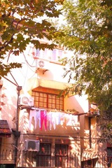 DPP_0010.JPG