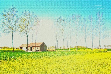 33_conew12