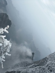 1079818