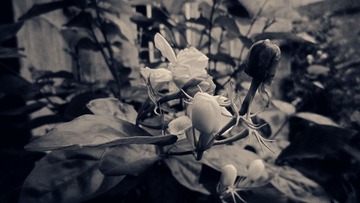 img_6400_副本2.jpg