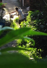 IMG_6562.jpg