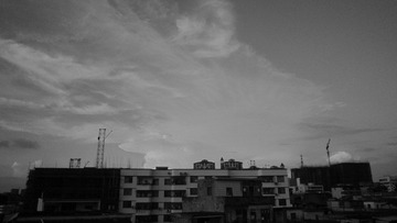 IMG_6906.jpg