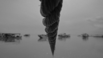 IMG_7271.jpg