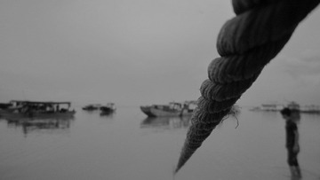 IMG_7274.jpg