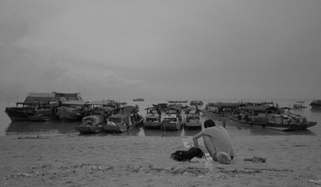 IMG_7284.jpg