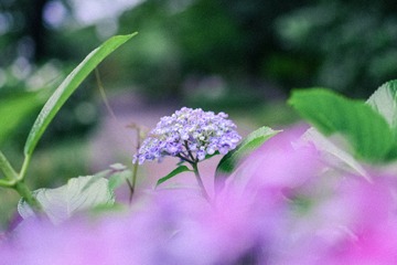 09B730E1-AB7E-4049-A40C-4FBC3C6C4BE0/L0/001