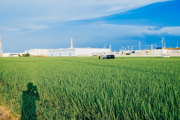 FF21346F-6A13-430D-8D17-9FB677324B98/L0/001