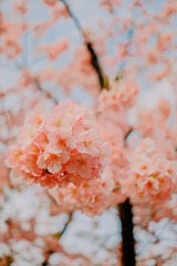 7E5061E4-24C5-4EB6-87EC-8649524CA16F/L0/001