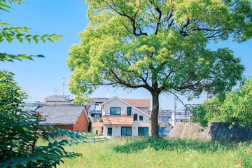 1BD6B3AE-205B-4054-9D63-FE81ED6ED2FE/L0/001