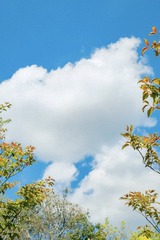 A0CC8A65-1DB7-4206-8F4D-2E48016F7274/L0/001