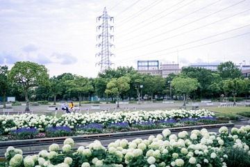 7F9619DD-4C75-4C5D-B4F6-319B90A382DE/L0/001