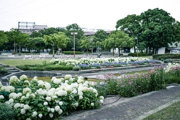 DC544853-4F4F-4D42-AF03-3FB7763492DF/L0/001