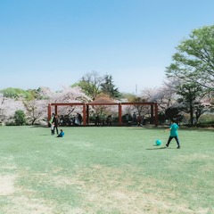 ED1730DC-4D2D-4EE0-A945-E4ECB0B99207/L0/001