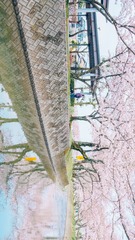 A7468B5D-5B27-493B-9C8C-454DFA4D6FD6/L0/001