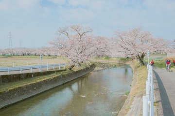 9A5F4016-8442-48E1-BFE9-C84E48ED4173/L0/001