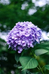 BA178F68-0E82-4C9E-9DDE-9DF295CBC40F/L0/001