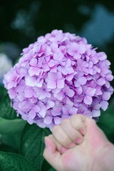 4269A767-B4C1-4CCB-892C-18D0244B8FBE/L0/001