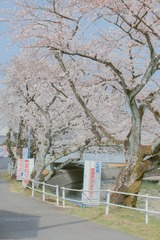 CC00EF70-02AC-4A00-AEF2-37C0EEC9009A/L0/001