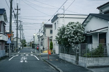 78FD4DC7-5147-438B-B0A6-DD52A9B0F205/L0/001