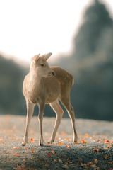 001