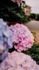 0F9AD5DF-F95E-4AD0-8C79-DA74B66BC54F/L0/001