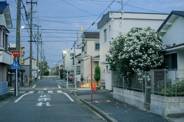 E1A71066-83F2-4004-917D-5341D525D50F/L0/001