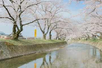 BA082431-2A31-4258-A03C-CA7A75044940/L0/001