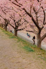 C51F3DEB-8A8D-47BD-8B8B-A5552CC4452A/L0/001