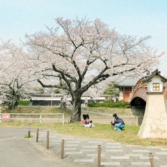 AB9C5C3D-9F75-4857-A81F-17E022EDE549/L0/001