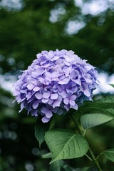 3E331337-DA90-4495-973D-A9777D0DAC8B/L0/001