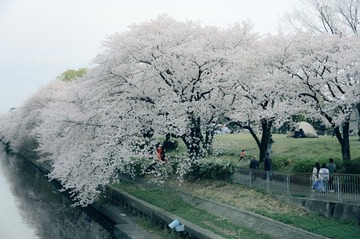 72F8C734-F658-4D32-AC24-0D9C29F213D0/L0/001