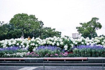 BA827CD8-DCD5-4787-920A-C8B109689C8D/L0/001