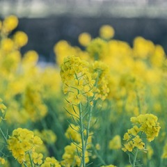 E6941229-54D9-465F-A989-5BD45EF66788/L0/001