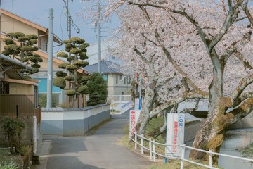 5B8661ED-CF73-4629-8538-28738BC9D8D9/L0/001