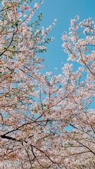 1FB2A114-B801-481A-AE8E-C2DEA2B6E67C/L0/001