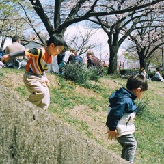 3913973F-C85D-45FA-80CF-AE1281693431/L0/001